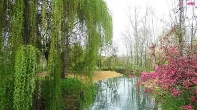 Paysage naturel près de la maison de vacances