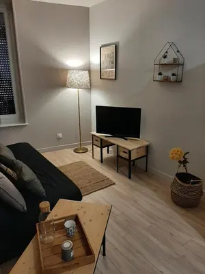 Télévision ou salle de divertissement dans l'établissement LOUHANS Les Petites Arcades avec ses deux appartements coté Arcades et coté cour