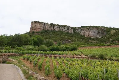 Paysage naturel près de la maison d'hôtes
