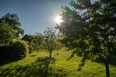 Jardin de l'établissement La Vallee des Elements