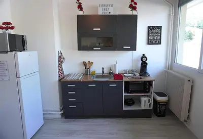 Cuisine ou kitchenette dans l'établissement Appartement La Roseraie PARKING PRIVE