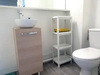 Salle de bains dans l'établissement Appartement La Roseraie PARKING PRIVE