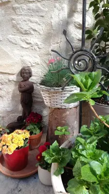 Jardin de l'établissement L'antre ami