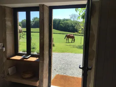 Animaux dans la maison de vacances ou à proximité