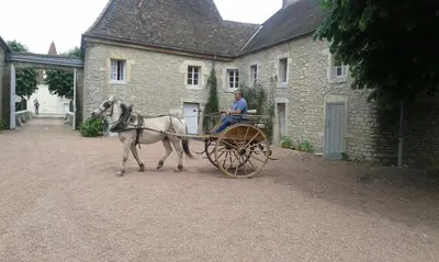 Équitation au sein de le B&B/chambre d'hôtes ou à proximité