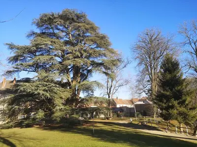 Paysage naturel près de l'appartement