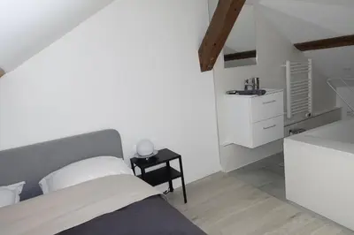 Cuisine ou kitchenette dans l'établissement Dijon : Superbe appartement hyper centre en duplex