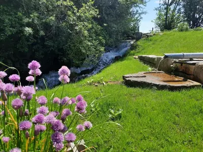 Jardin de l'établissement Domaine du moulin de Jeanne