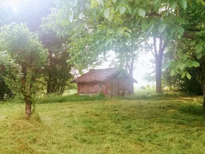Jardin de l'établissement La Poulette