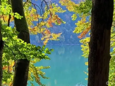 Paysage naturel près de l'appartement