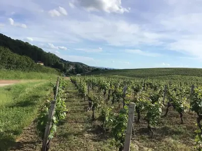 Paysage naturel près de l'appartement