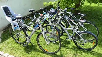 Vélo sur le terrain de l'établissement Les Grands Crus - Gîte 