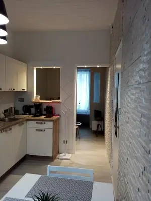 Cuisine ou kitchenette dans l'établissement Le petit Saint Bernard