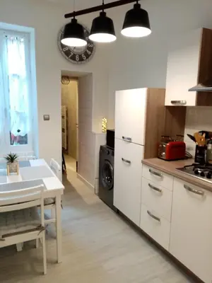 Cuisine ou kitchenette dans l'établissement Le petit Saint Bernard