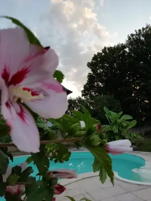 Piscine de l'établissement Gite meublé et Chambre d'hôtes LE PUITS DARCY ou située à proximité