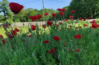 Jardin de l'établissement Autrefois la Cure