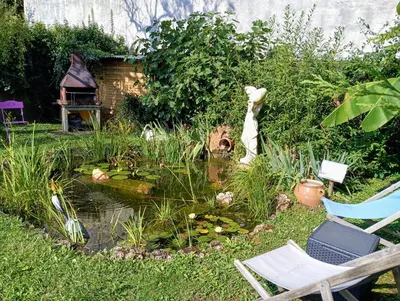 Jardin de l'établissement Gite les Courtaillards
