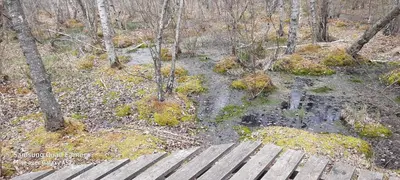 Paysage naturel près de l'appartement