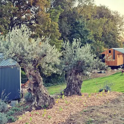 Jardin de l'établissement Le monde d'Echozellia
