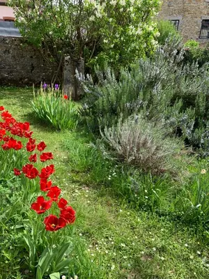 Jardin de l'établissement Grand appartement lumineux tout confort en plein coeur d'Arbois