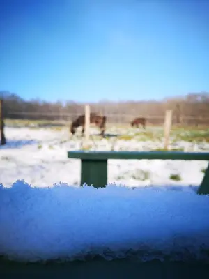 L'établissement Roulotte de charme avec bain nordique et brasero - Autun, Morvan en hiver