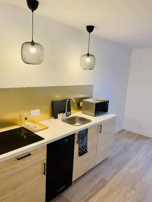 Cuisine ou kitchenette dans l'établissement Suite 24 Appart'hôtel-L'Annexe-3 étoiles