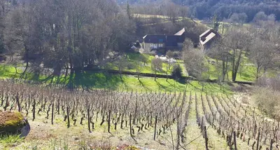 Paysage naturel près de le B&B/chambre d'hôtes