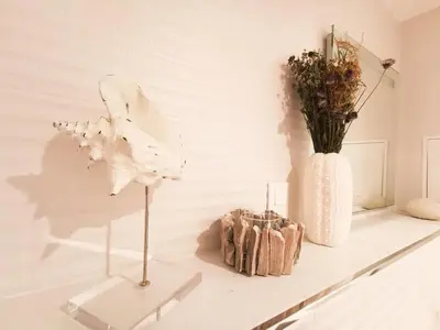 Plan de l'établissement Appartement Cosy en Hypercentre - Le Petit Jules