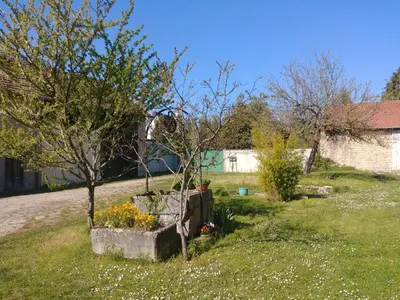 Jardin de l'établissement 2 chambres au calme à la Maison des Bambous