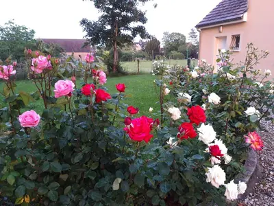 Jardin de l'établissement Le Clos des Roses