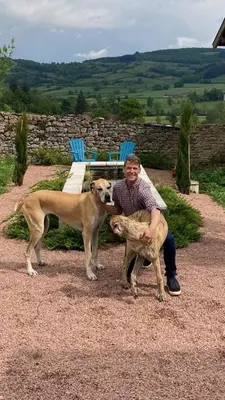 Animal ou animaux domestique(s) séjournant avec des clients dans l'établissement Bourgeoisie @ Brandon