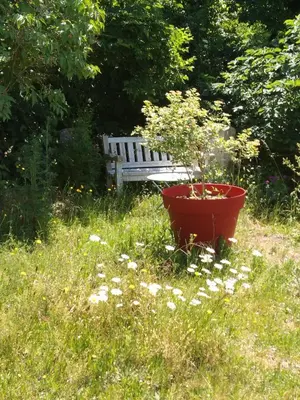 Jardin de l'établissement Maison Haute