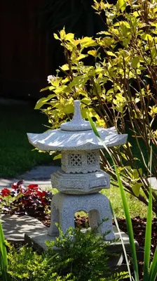 Jardin de l'établissement Les gîtes du Griffon le Pin