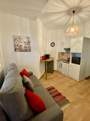 Cuisine ou kitchenette dans l'établissement Charmant appartement Cité international - Gastronomie & Vin - Dijon