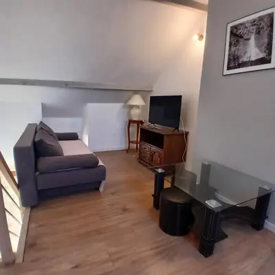 Télévision ou salle de divertissement dans l'établissement Le cottage du village
