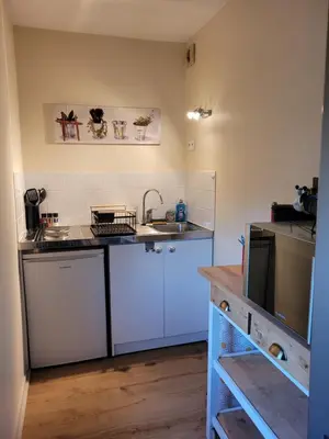 Cuisine ou kitchenette dans l'établissement Studio récent résidence Charles Quint