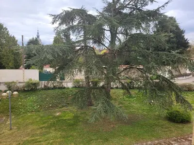 Jardin de l'établissement Studio récent résidence Charles Quint