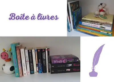Bibliothèque dans l'appartement