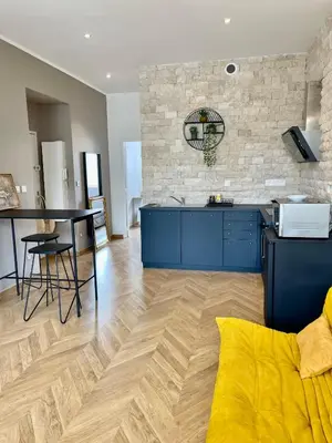 Cuisine ou kitchenette dans l'établissement Superbe 40 m2 tout confort au cœur de Dijon