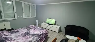 Télévision ou salle de divertissement dans l'établissement Luxe -Style