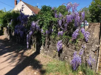 Jardin de l'établissement La petite maison d’Orphée