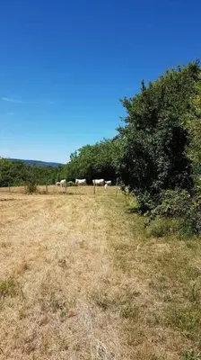 Paysage naturel près de l'appartement