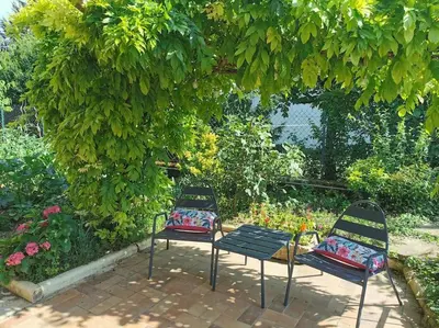 Jardin de l'établissement Appt proche des vignes