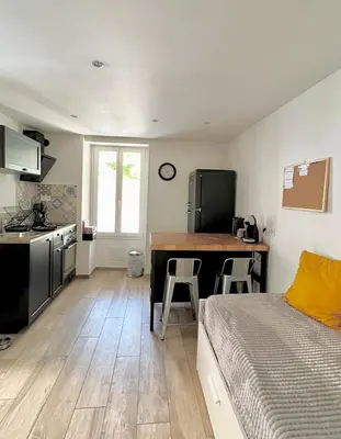 Télévision ou salle de divertissement dans l'établissement Charmant studio au coeur du centre ville