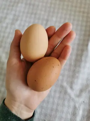 Plan de l'établissement Au Jardin des Deux Roches