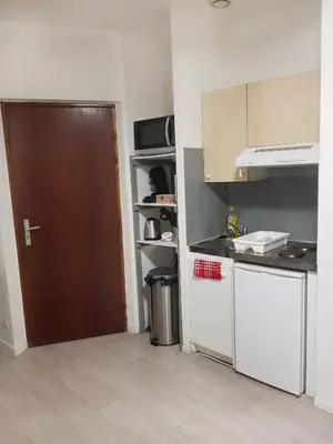 Cuisine ou kitchenette dans l'établissement Spacieux studio – Place de la république