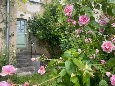 Jardin de l'établissement Le jardin du roitelet