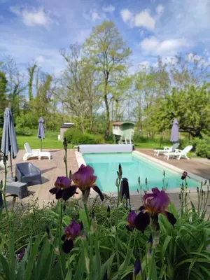 Piscine de l'établissement LES DIVINES BOURGOGNE ou située à proximité