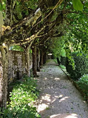 Jardin de l'établissement Le clos du marronnier