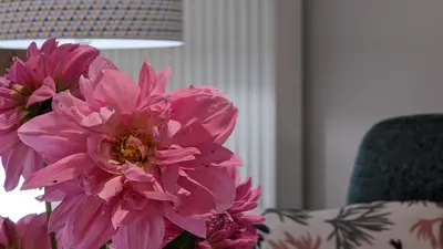 Coin salon dans l'établissement Chez Agnès